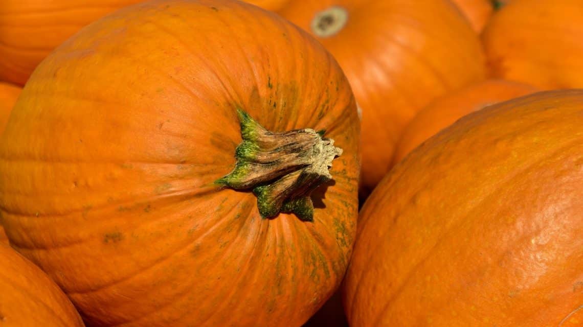 Calabazas para halloween